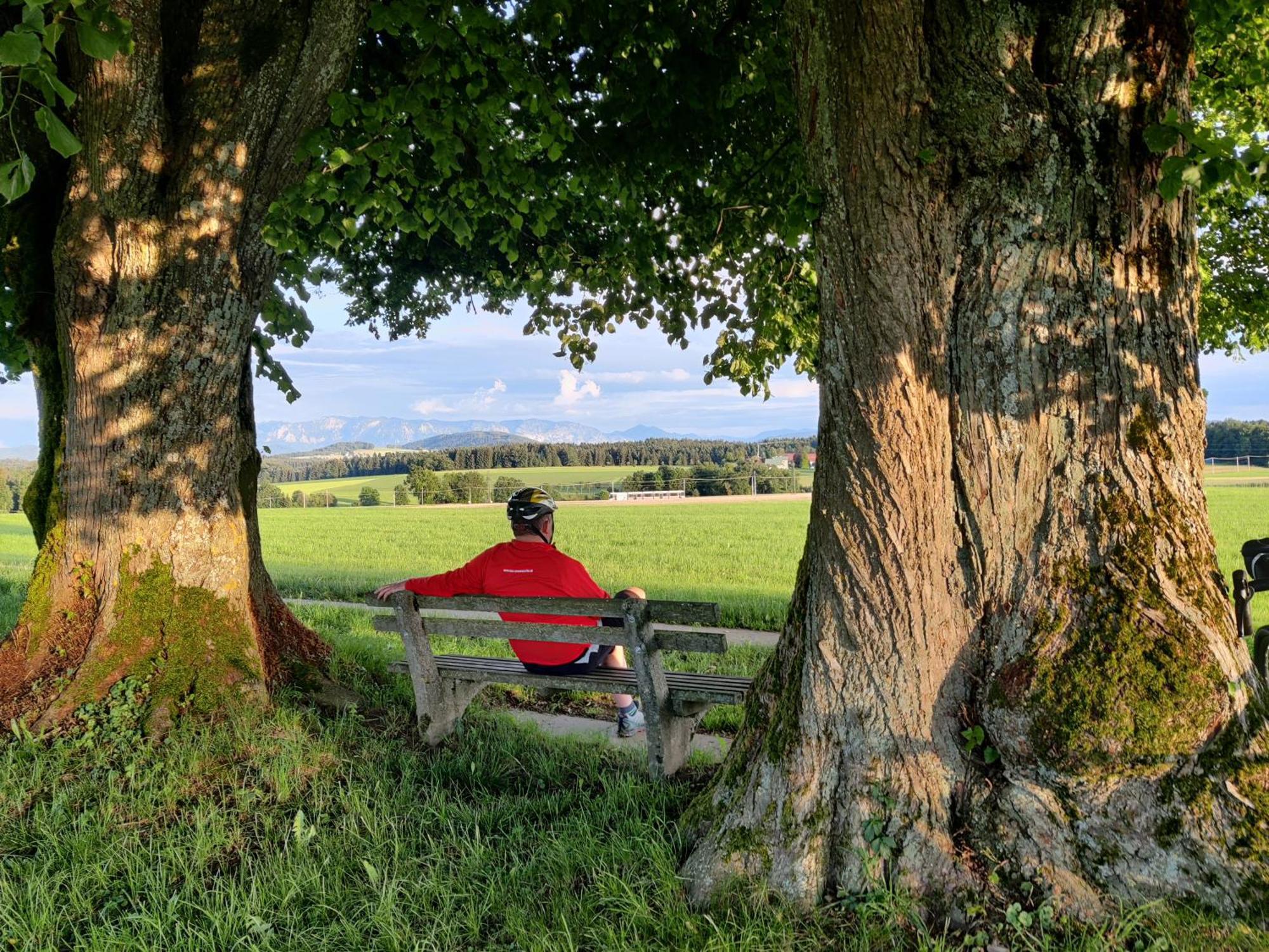 Pension Holzapfel Sankt Georgen im Attergau Luaran gambar