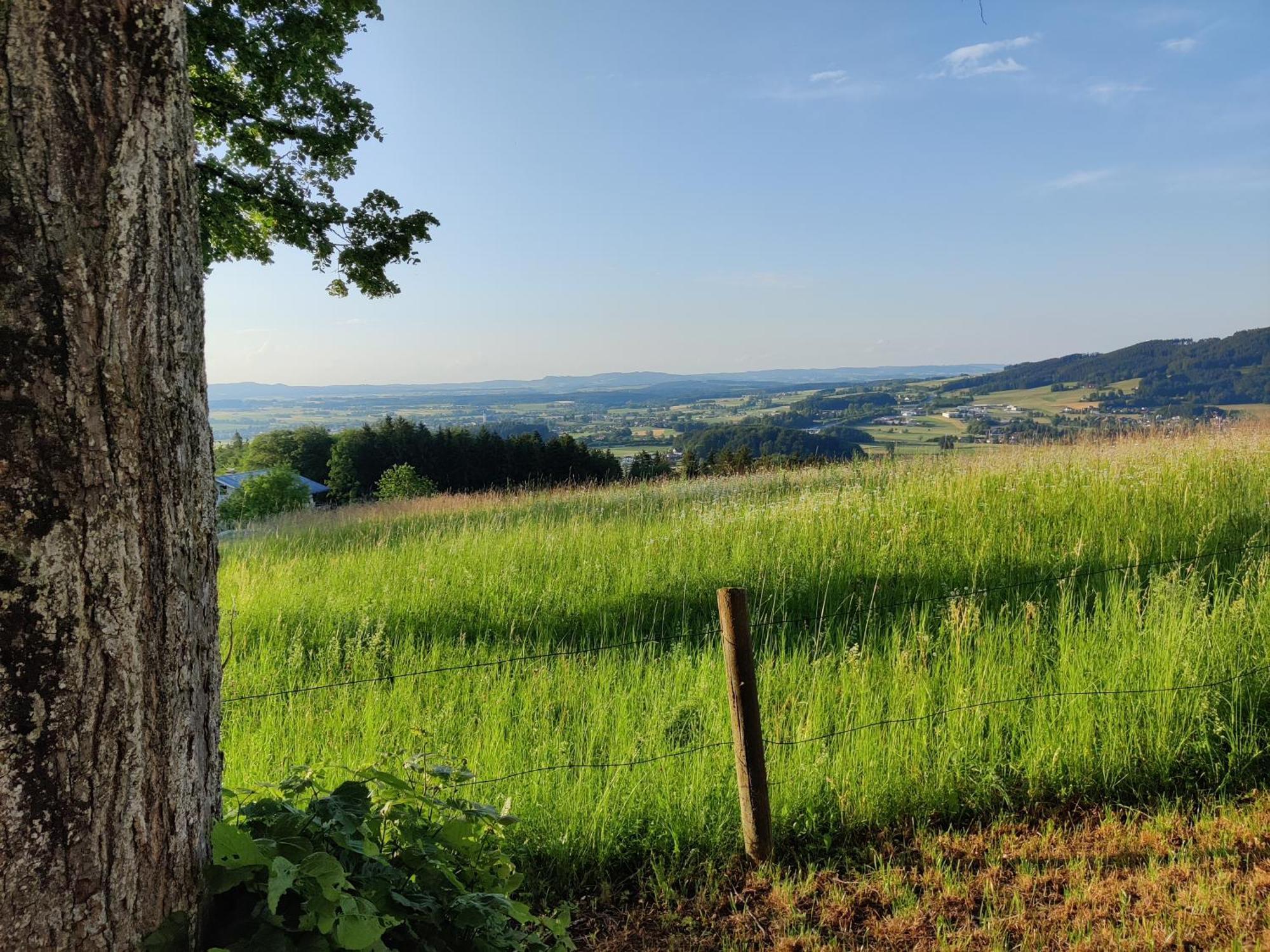 Pension Holzapfel Sankt Georgen im Attergau Luaran gambar