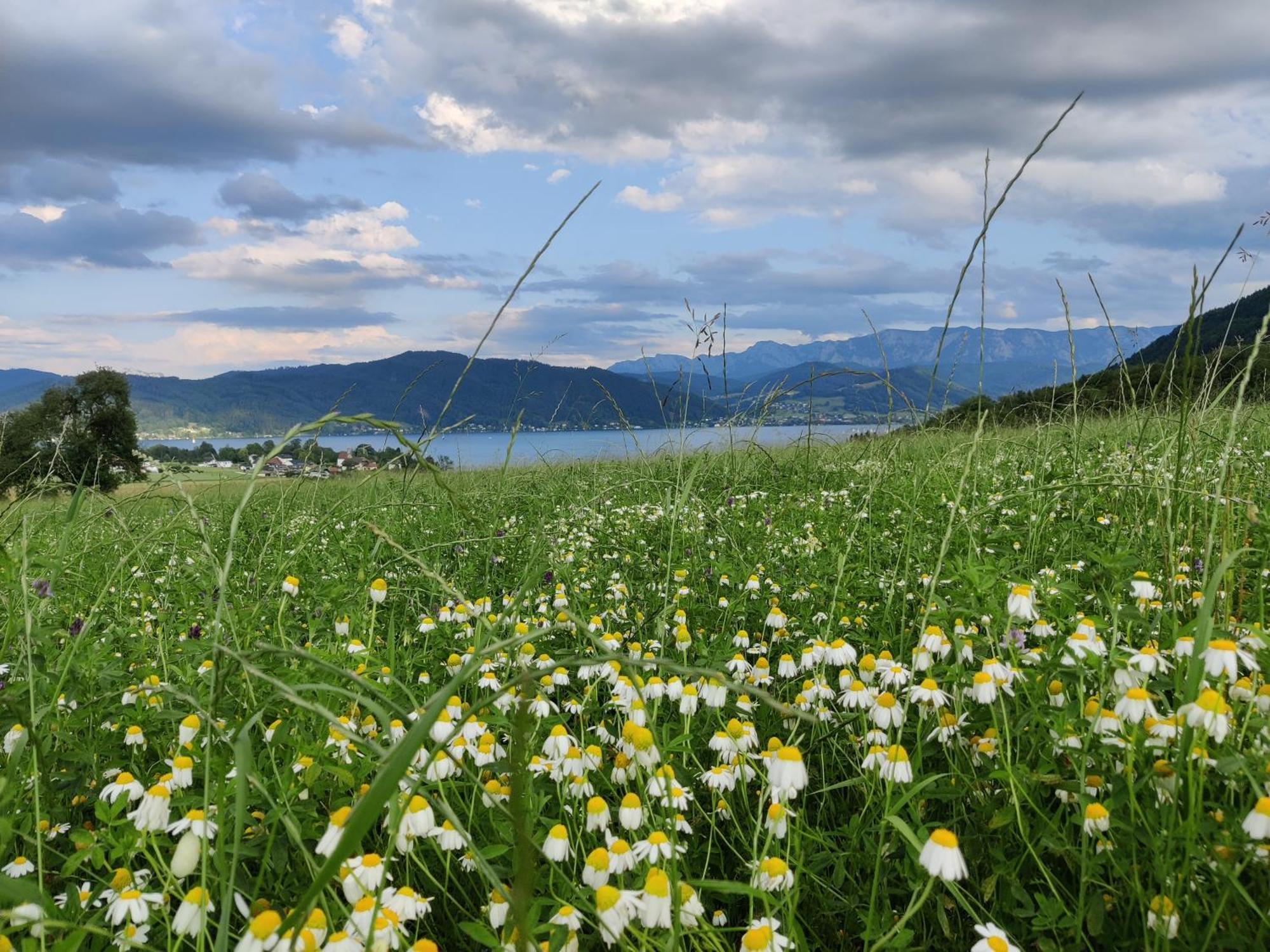 Pension Holzapfel Sankt Georgen im Attergau Luaran gambar